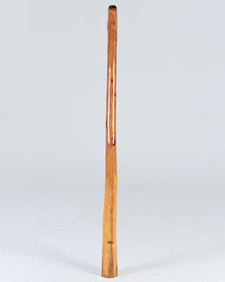 O'Meara Premium Didgeridoo (MGD020)