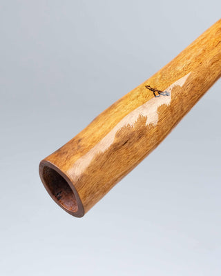 Murrundindi Didgeridoo (MGD005)
