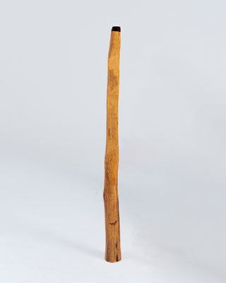 Murrundindi Didgeridoo (MGD007)