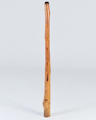 O'Meara Premium Didgeridoo (MGD020)