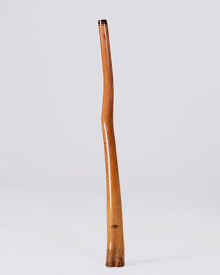 O'Meara Premium Didgeridoo (MGD037)