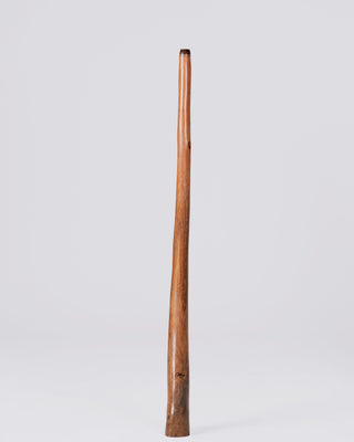 O'Meara Premium Didgeridoo (MGD039)