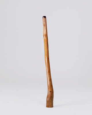 O'Meara Premium Didgeridoo (MGD040)