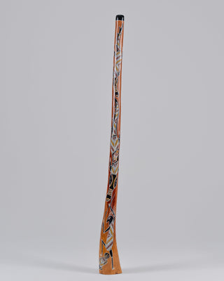 Murrundindi Premium Painted Didgeridoo (MGD047)