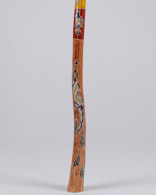 Murrundindi Premium Painted Didgeridoo (MGD056)