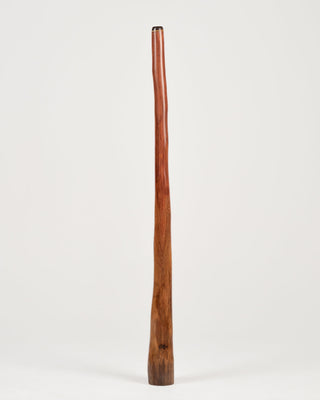 O'Meara Premium Didgeridoo (MGD075)