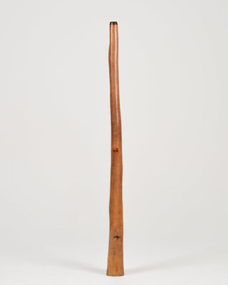 O'Meara Premium Didgeridoo (MGD076)